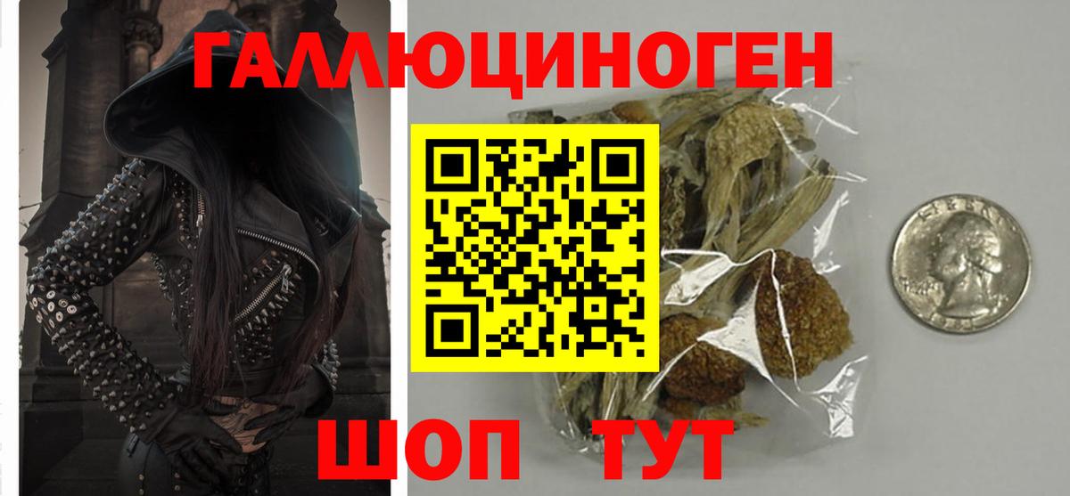 Галлюциногенные грибы Psilocybine cubensis  Вход с VPN  Ивантеевка 